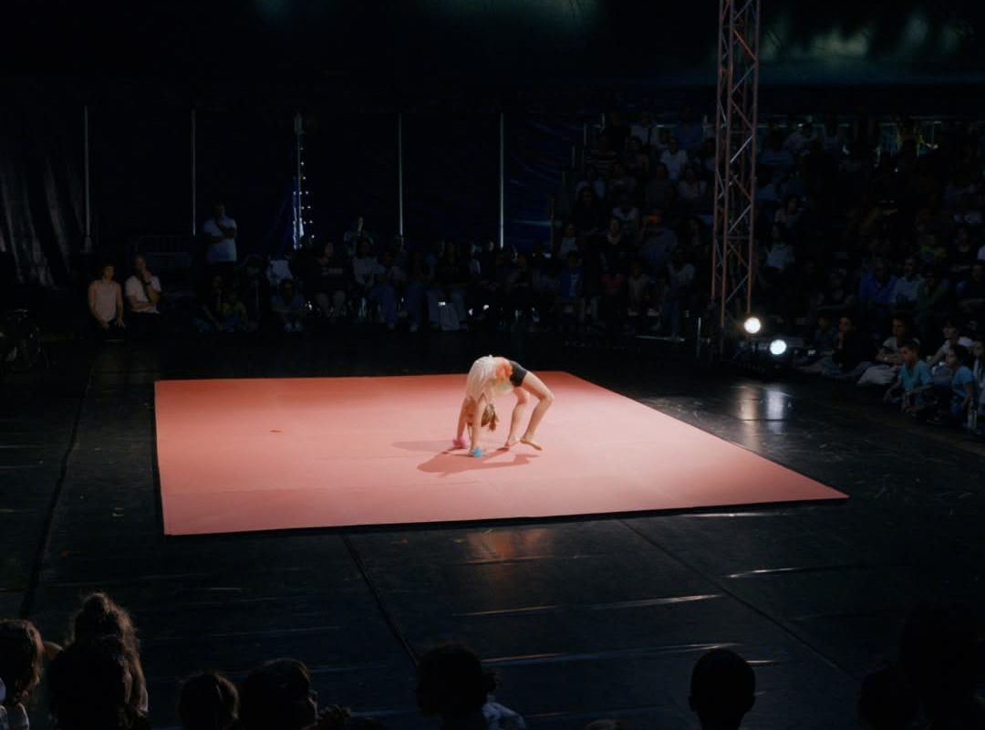 video 5.00_00_13_11.Immagine004